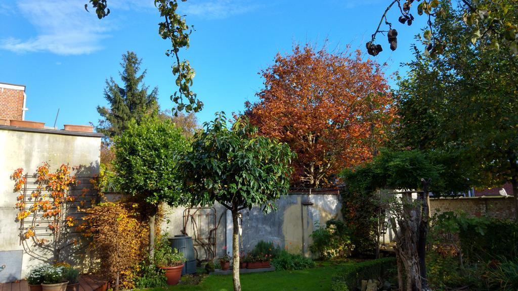 Bed & Breakfast Exterlaer Αμβέρσα Εξωτερικό φωτογραφία
